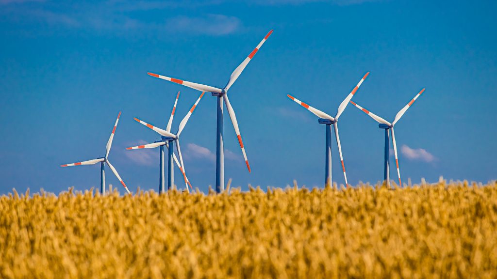 Photo of a wind energy farm to represent our background working with the power generation industry